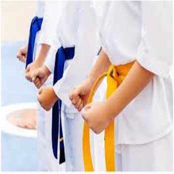 Karate Belts
